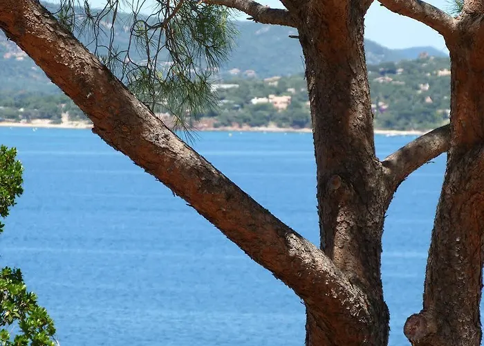 Βίλα U Paviddonu Πόρτο Βέκιο
