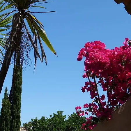 Сasa de vacaciones Résidence U Paviddonu