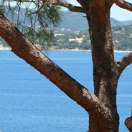 Ferienhaus U Paviddonu Porto-Vecchio (Corsica)